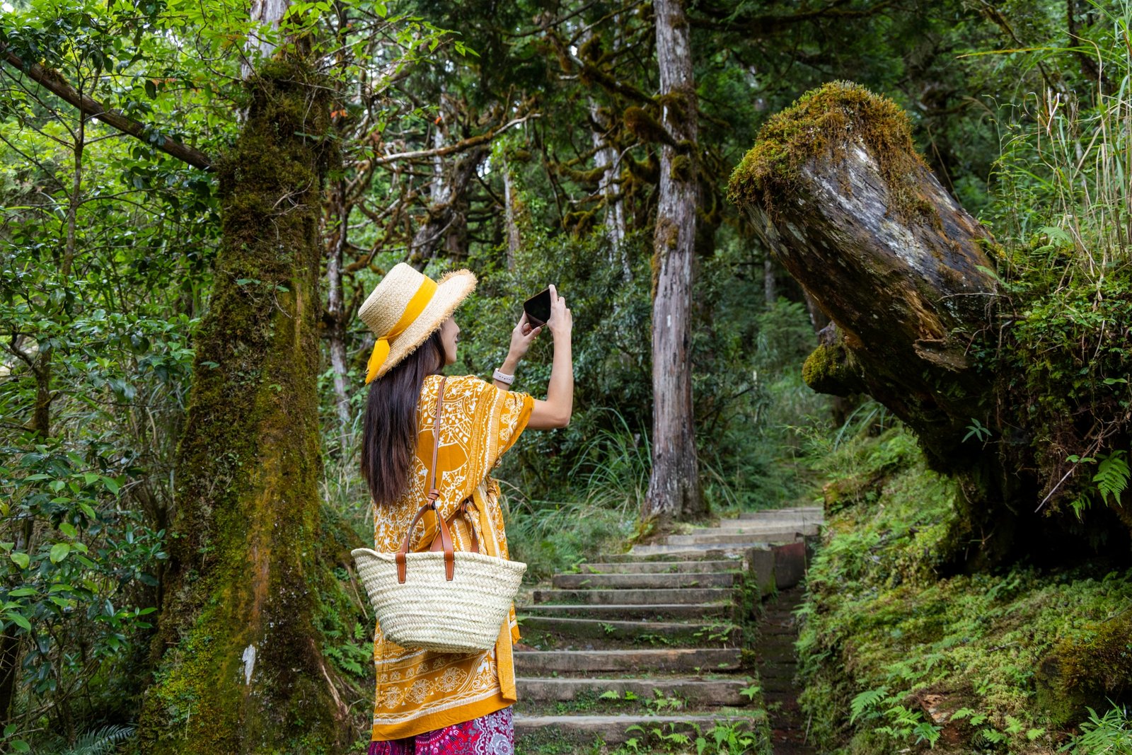 travel-woman-use-cellphone-to-take-photo-at-forest
